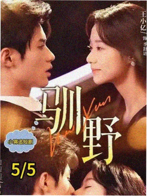 多层渐变二氧化锆瓷块标本图，展示颈部到切端的颜色过渡